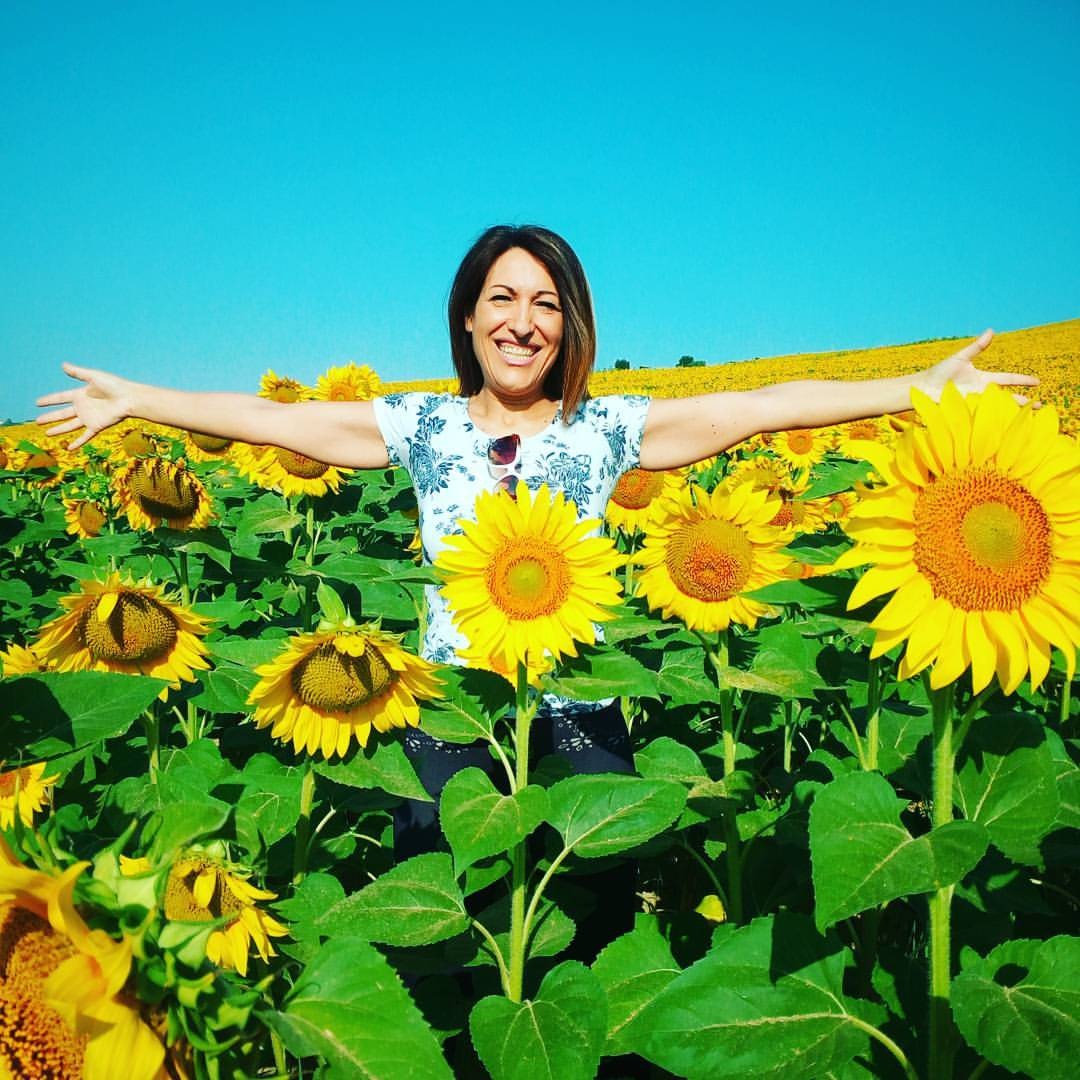 3f136a67-fb79-46f3-a8c6-c8942ef5050f